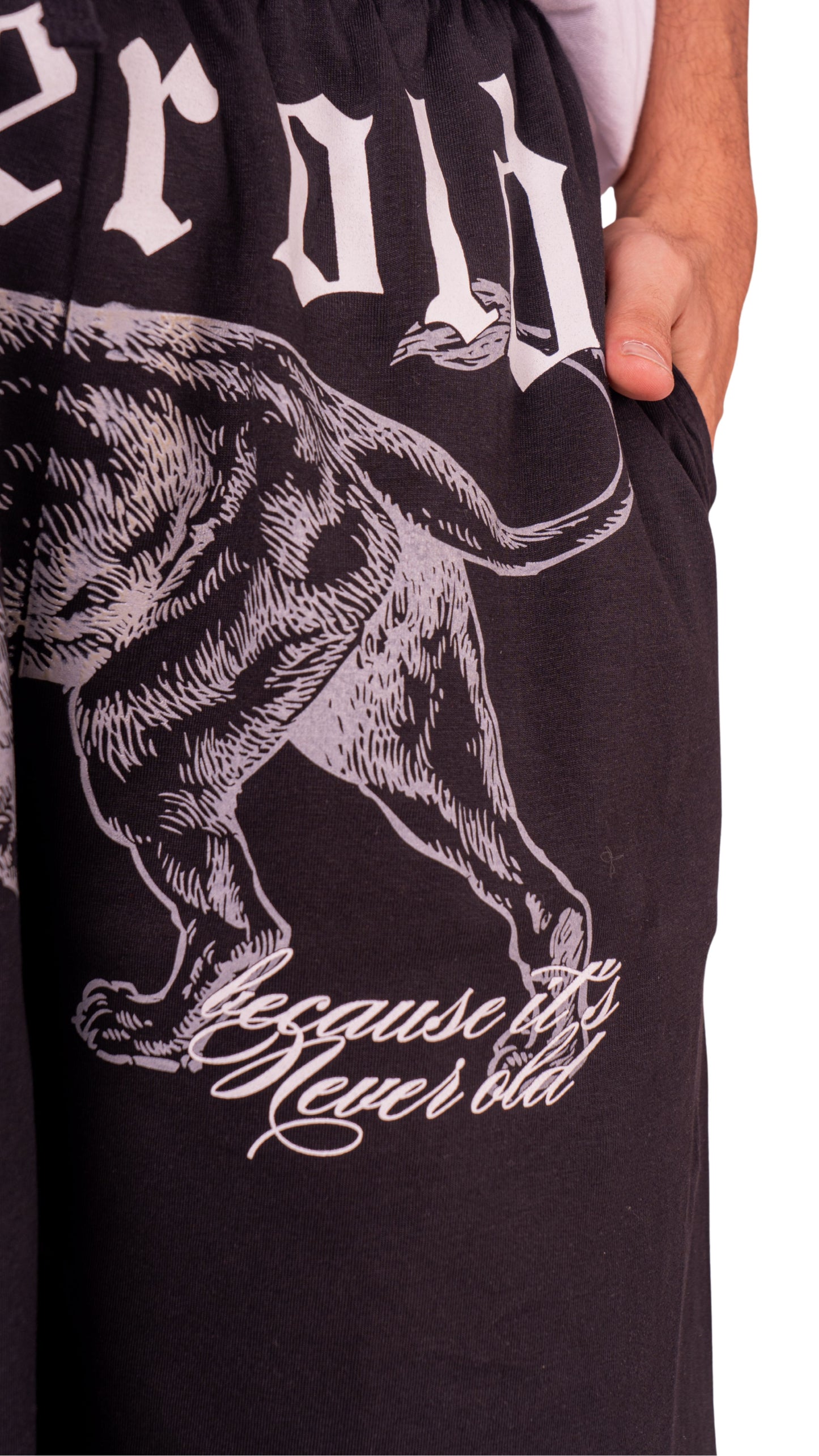 The Lion Short
