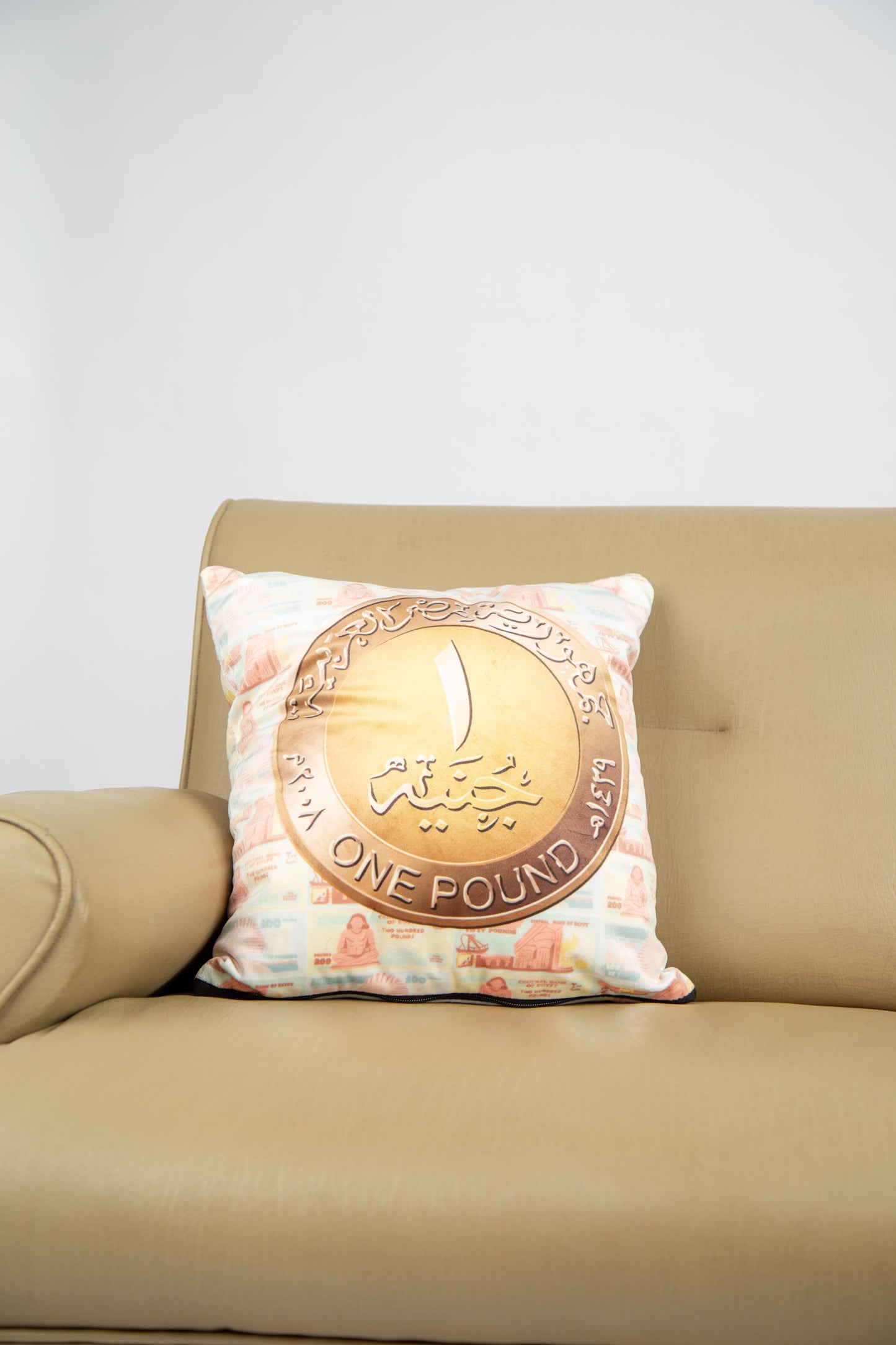 1 EGY Pound Polyester Cushion
